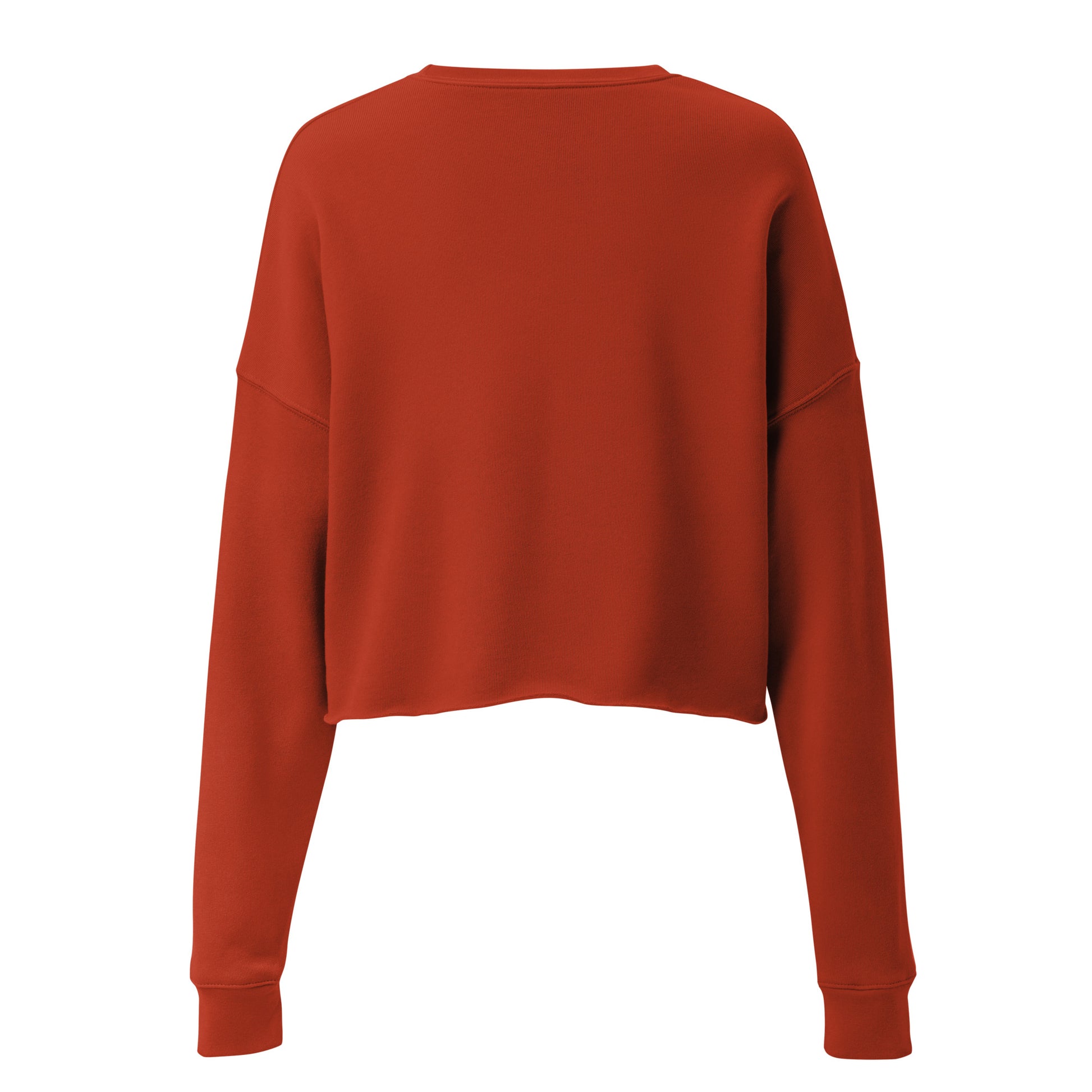 Nebuluxe Brilliance Women's Crop Sweatshirt - Brick - FLAKOUT